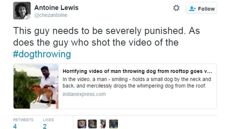 Two India students arrested for throwing dog off roof BBC News