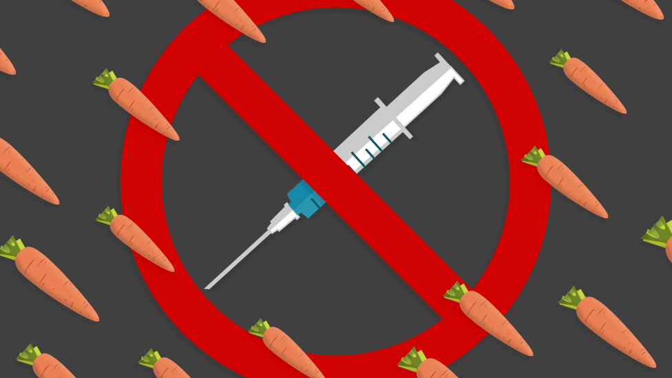 vaccine and carrot graphic