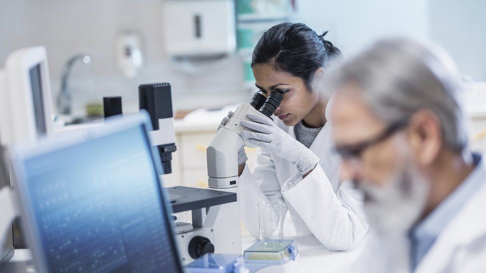 Scientists studying results in a laboratory