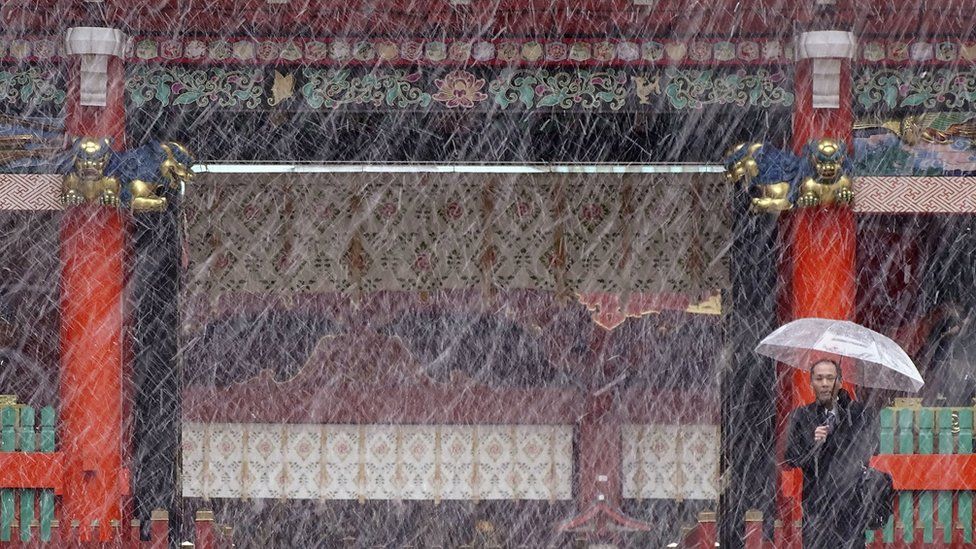 A man stands near the gate in the snow at Kanda Myojin shrine in Tokyo, Thursday, Nov. 24, 2016. Tokyo residents have woken up to the first November snowfall in more than 50 years.