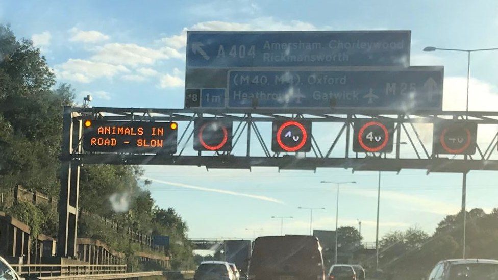 Road signs on M25