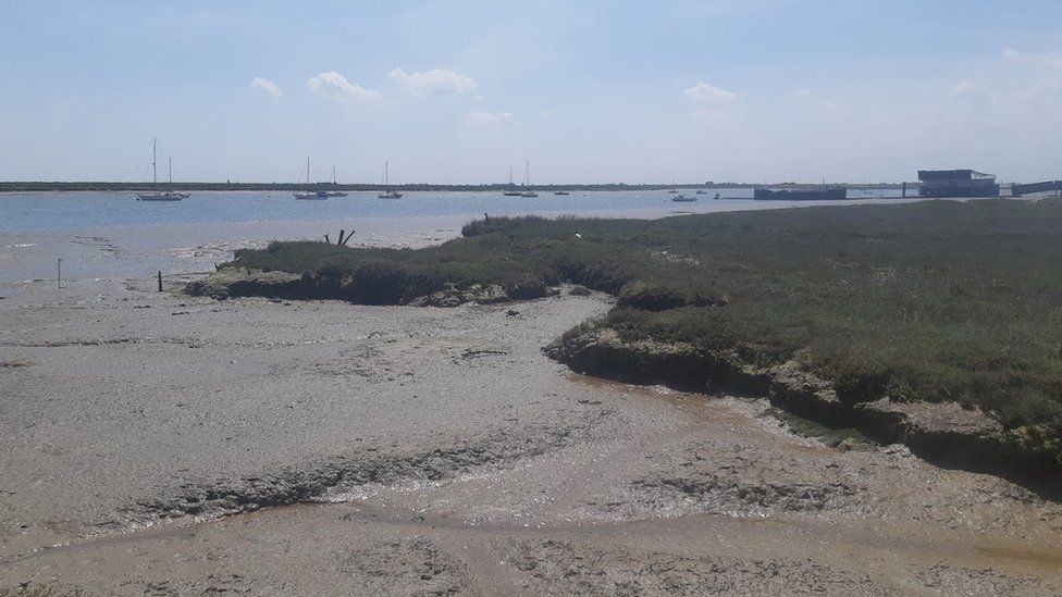 The shoreline at Paglesham, Essex, where the remains of The Beagle are thought to lie