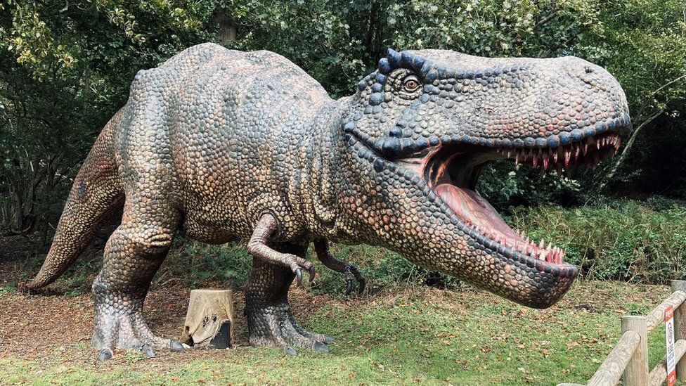 Dinosaur park in Norfolk.