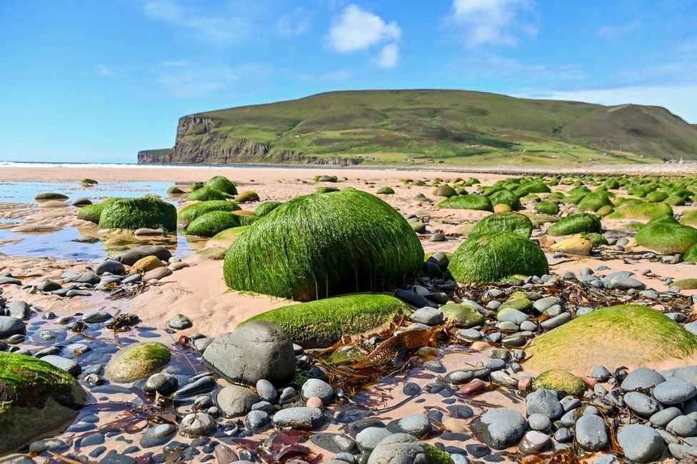 The beach at Rackwick bay in Hoy