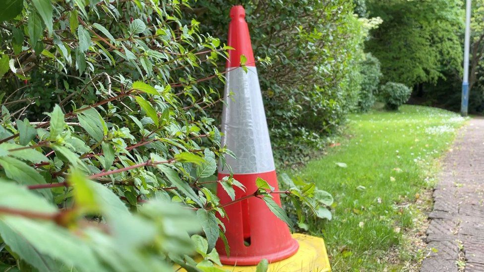 Traffic cone at the side of the road