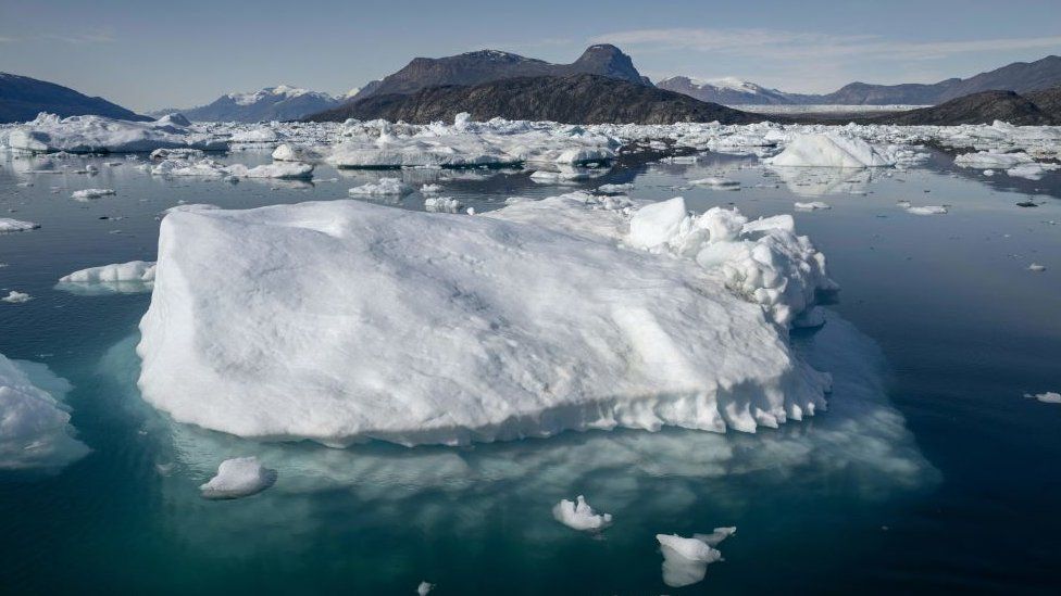 Melting icebergs drift off near a glacier in Scoresby Fjord, Greenland on 15 August, 2023.