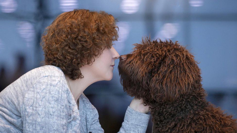 Image of dog and person with similar hair