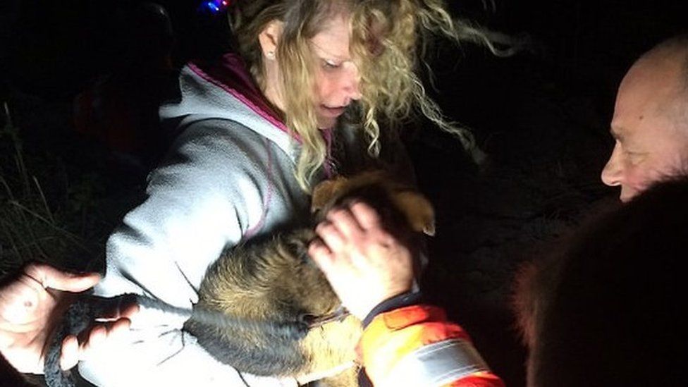 Dog rescued by fire crews