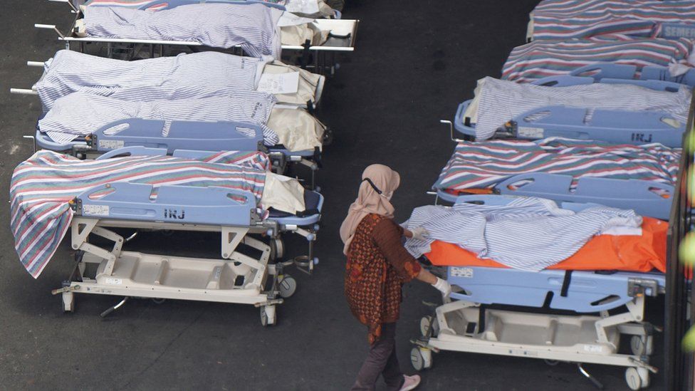 A row of covered bodies in the nearby hospital