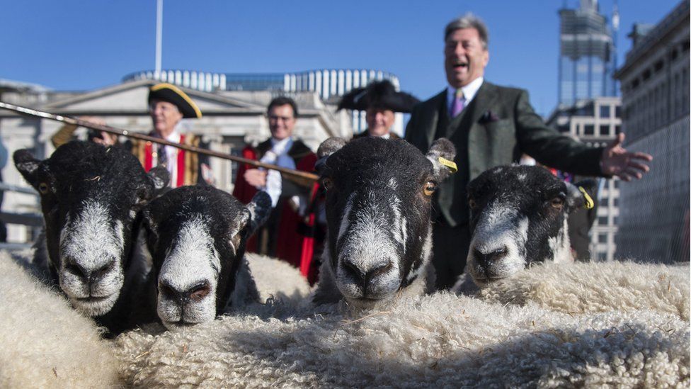 Alan Titchmarsh herds sheep over London Bridge - BBC News