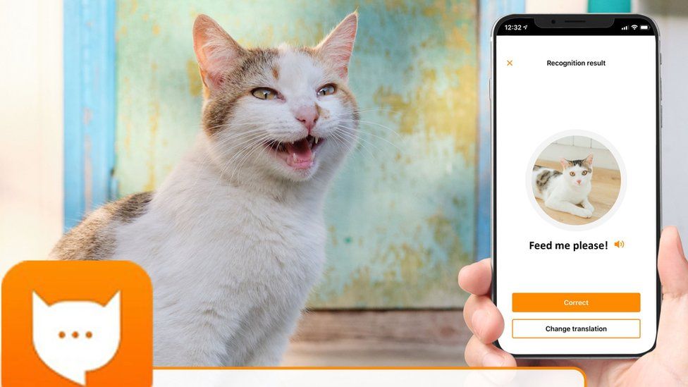 Catch The mouse for cats - Apps on Google Play