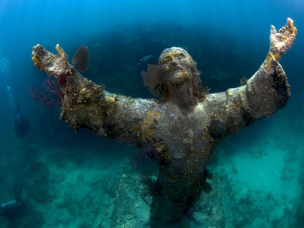 Lawson Wood: The Scot who photographs life underwater - BBC News