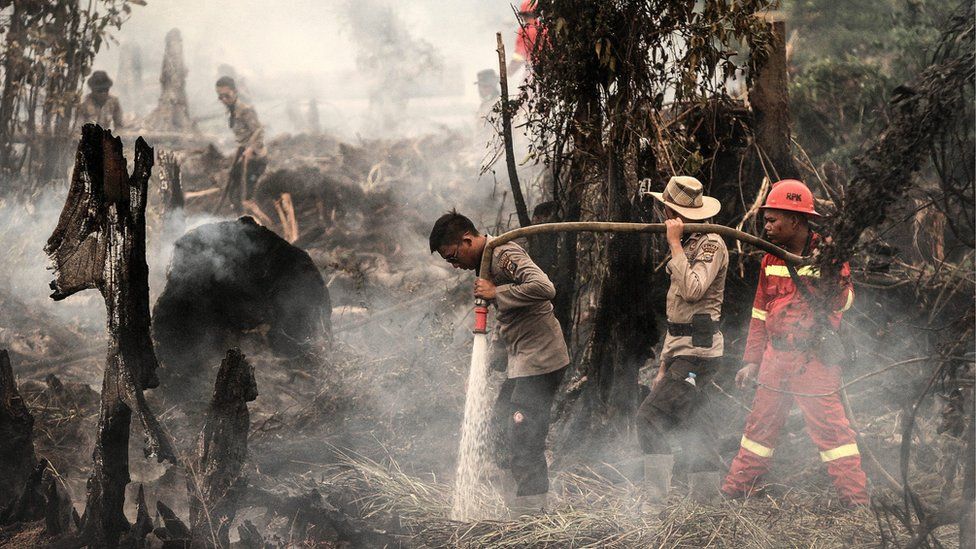 Indonesian police officers and firemen extinguish the fire at a forest in Rokan Hulu, Riau province, Indonesia, 28 August 2016.