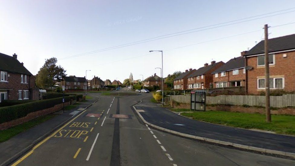 Rotherham police hunt for dog's owner after it mauls pet to death BBC