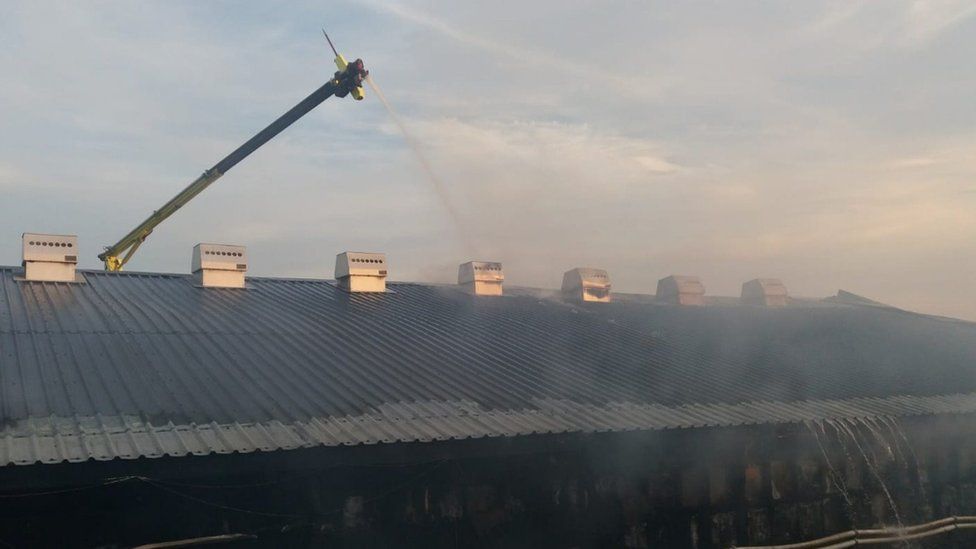 Turkey chicks die in huge Frodsham farm shed fire BBC News