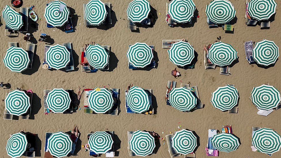 Aerial image of parasols on a beach in Albania