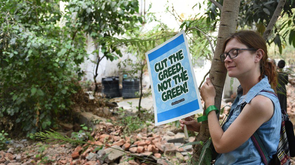 A woman hugs a tree as she holds a placard reading, 'Cut the Greed, Not the Green'