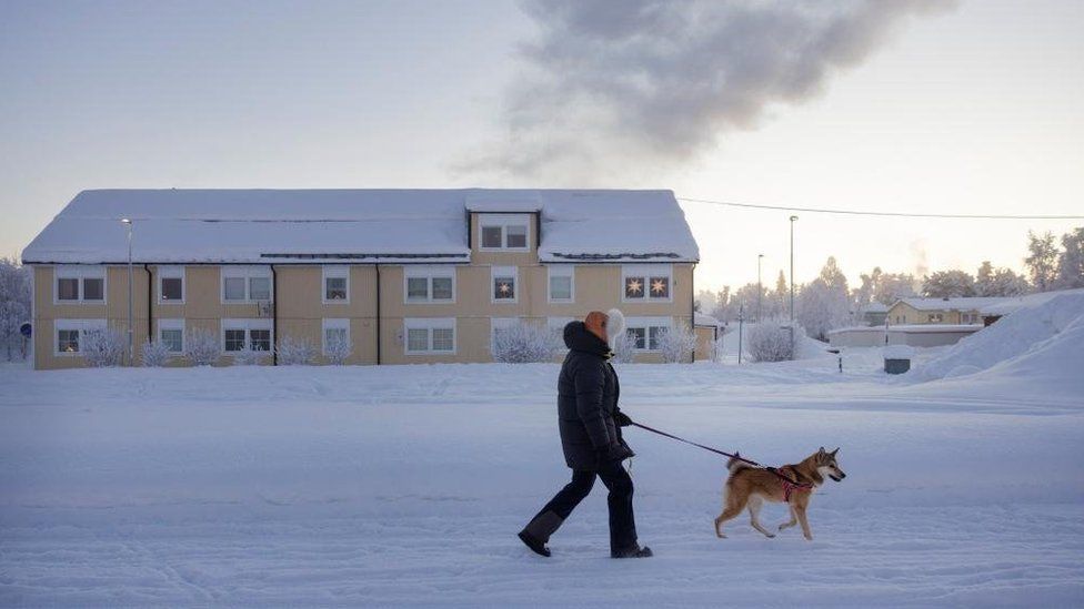 A dog walker in the Swedish village of Vittangi, where temperatures have dropped as low as -30C