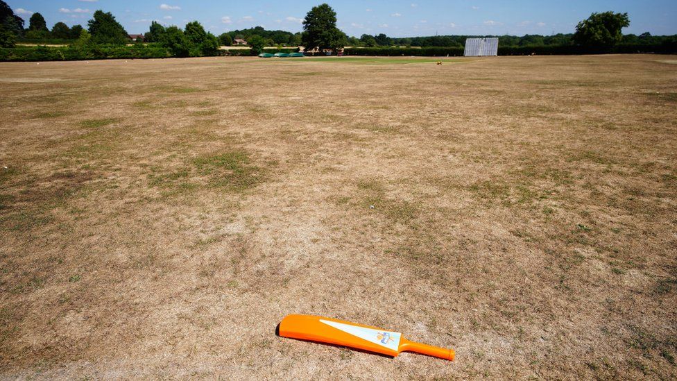 Parched grass at the cricket green in the village of Odiham in Hampshire