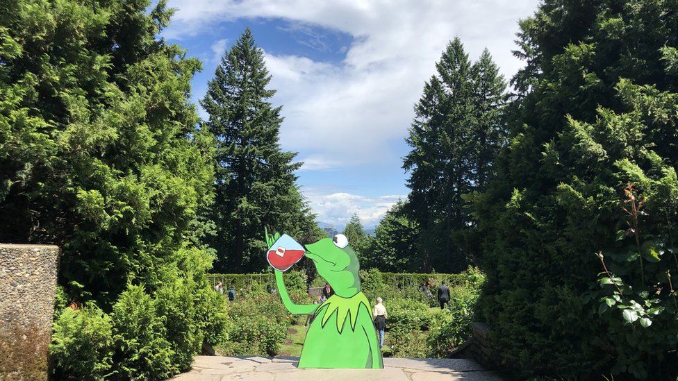 Kermit the Frog sips tea in Portland's Rose Garden