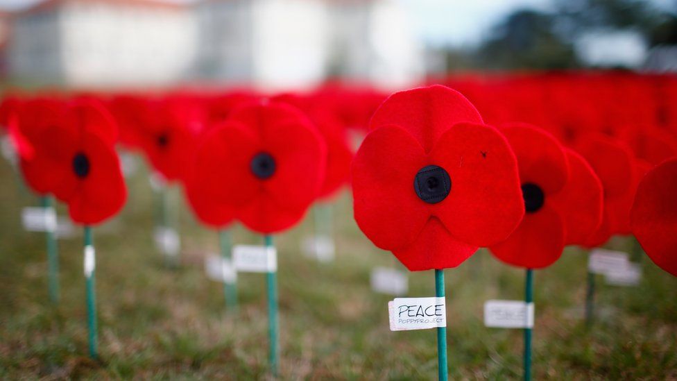 Five Reasons People Don T Wear Poppies c News