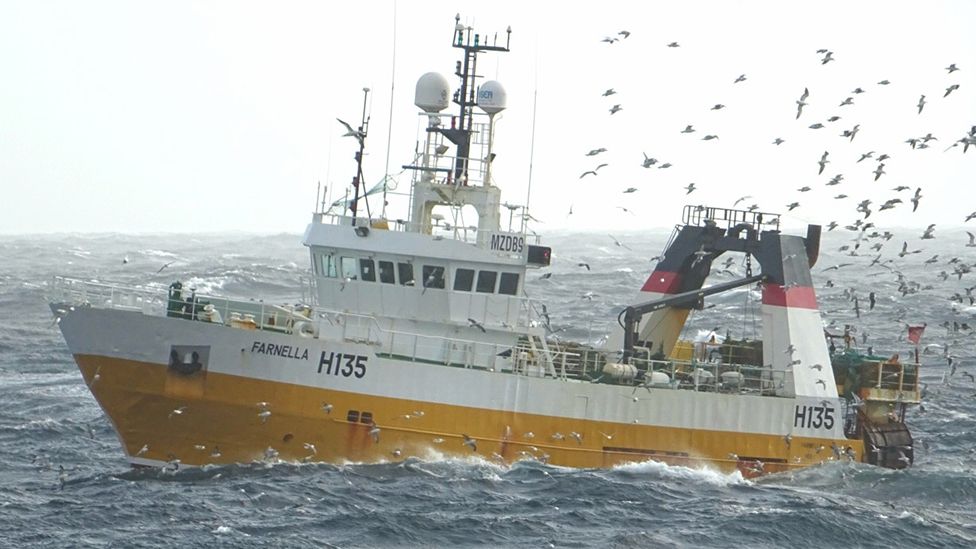 Hull trawler Farnella to retire from fishing leaving single ship