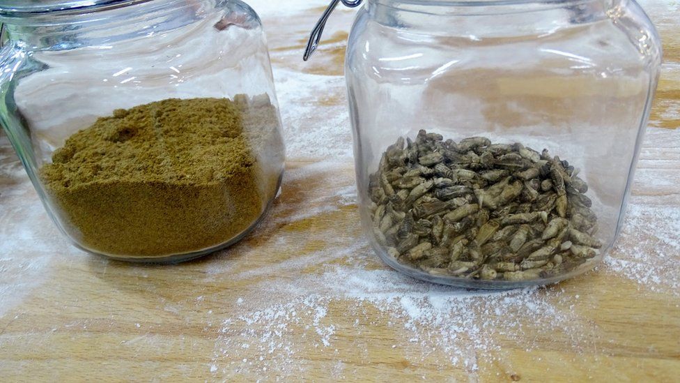 Flour ground from dried crickets and crickets in jars, for the first mass-delivered bread made of insects, are seen at the Finnish food company Fazer bakery in Helsinki, Finland on 23 November 2017.