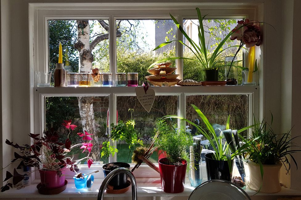 Plant pots and other items on a window sill
