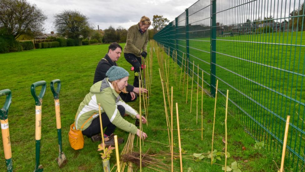 People planting trees in Oswestry