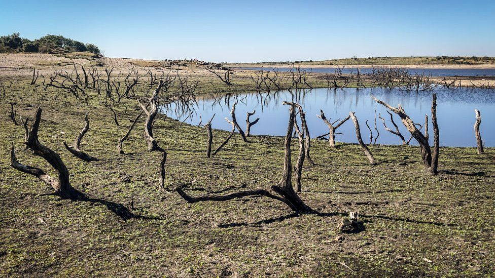 Low water levels at Bodmin Moor in Cornwall