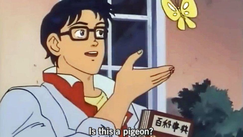 This is the meme. A man gestures towards a butterfly and asks, is this a pigeon?
