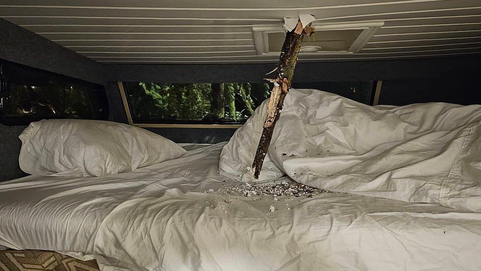 The roof of a motorhome pierced by the branches of a tree torn off