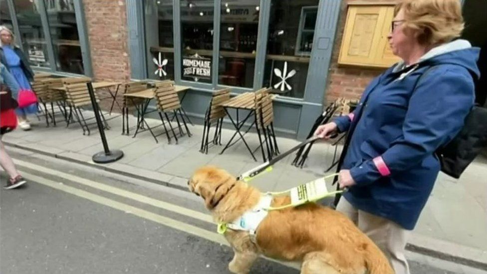 Person with guide dog in York
