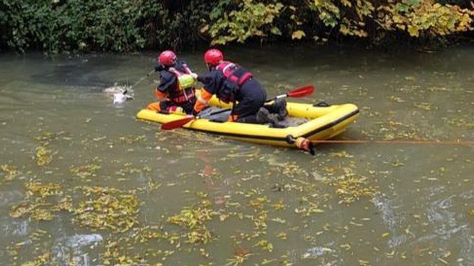 Firefighters rescuing a sheep