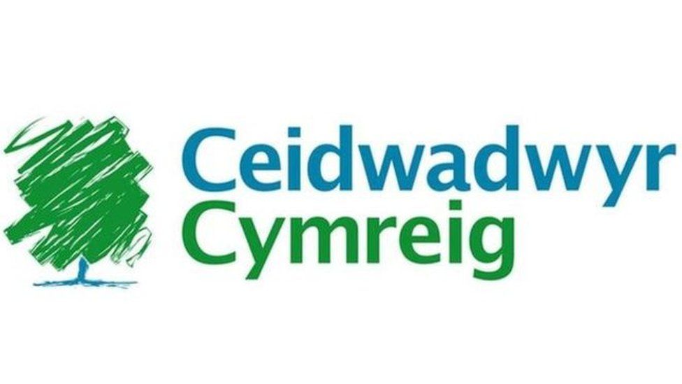 Logo y Ceidwadwyr