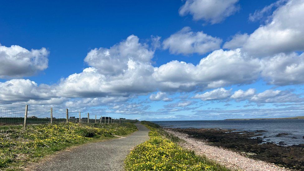 Photograph of a coastal path with a field of yellow flowers on the left hand side and the sea on the right side. Sunny spells with fluffy white cloud in the sky.