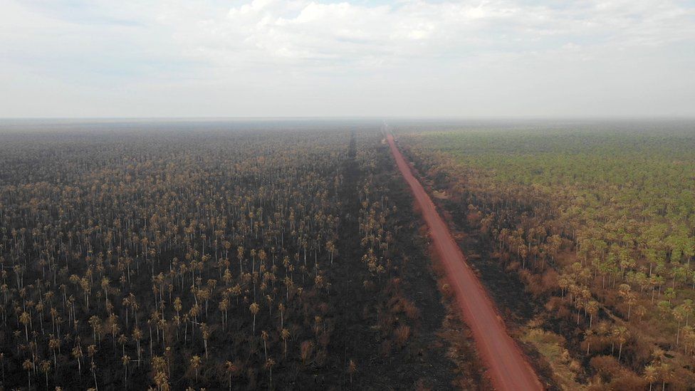 Aerial view of damage caused by wildfires in Otuquis National Park, in the Pantanal ecoregion of south-eastern Bolivia, on August 27, 2019