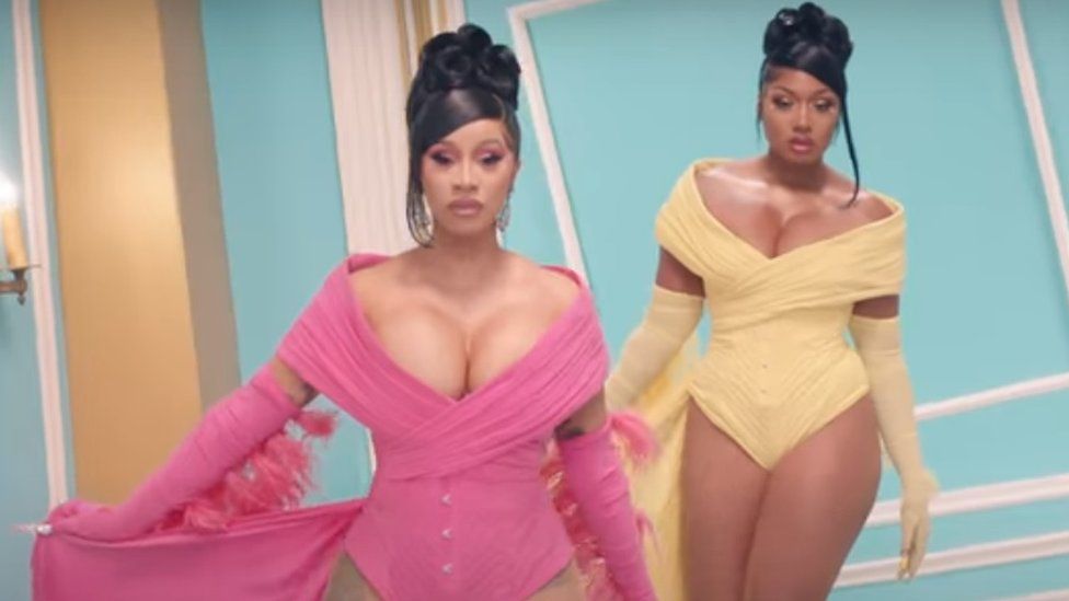 Cardi B and Megan Thee Stallion recently collaborated on a new track and video