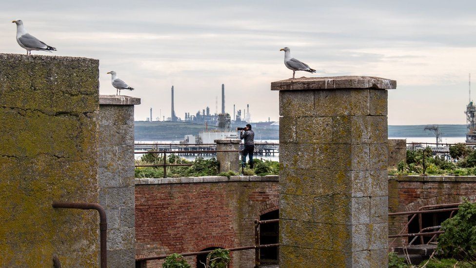Seagulls on top of the fort
