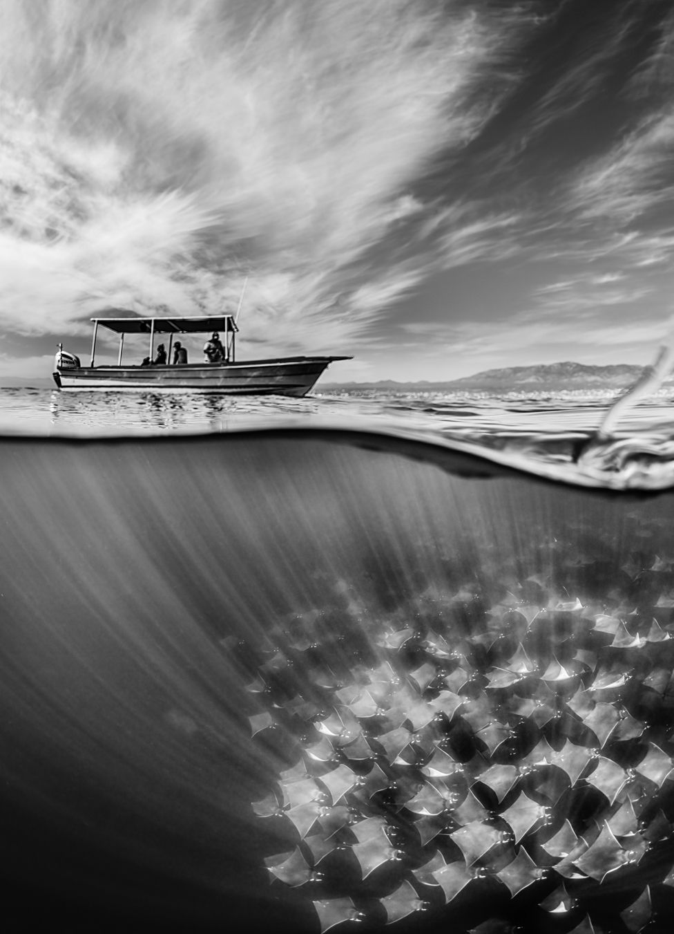 A boat sails above a Mobula ray migration in waters in Baja California, Mexico