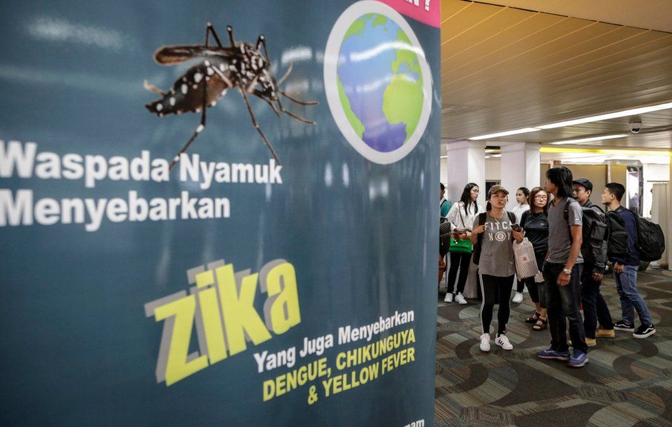 Zika virus: The outbreak in Asia - BBC News
