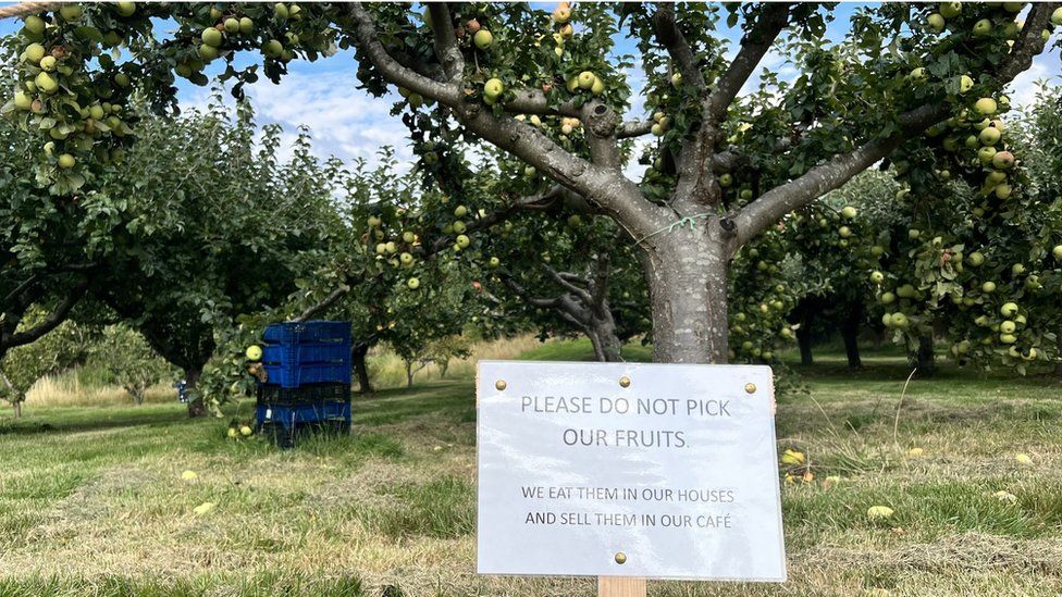 Sign asking not to pick fruit