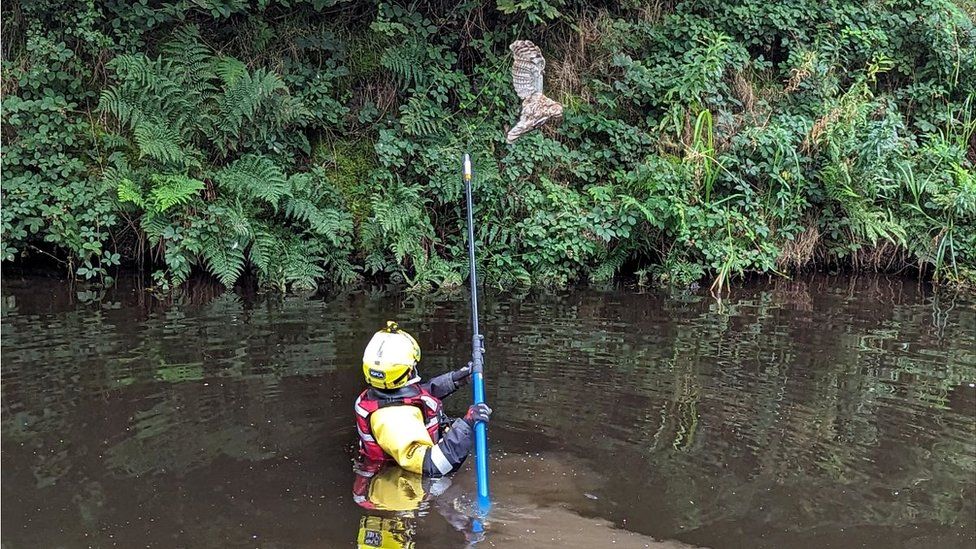 RSPCA officer rescuing owl