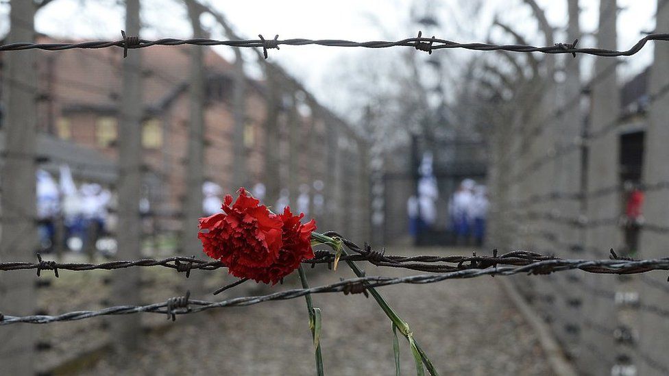 Flower placed in barbed wire at Auschwitz (file photo)