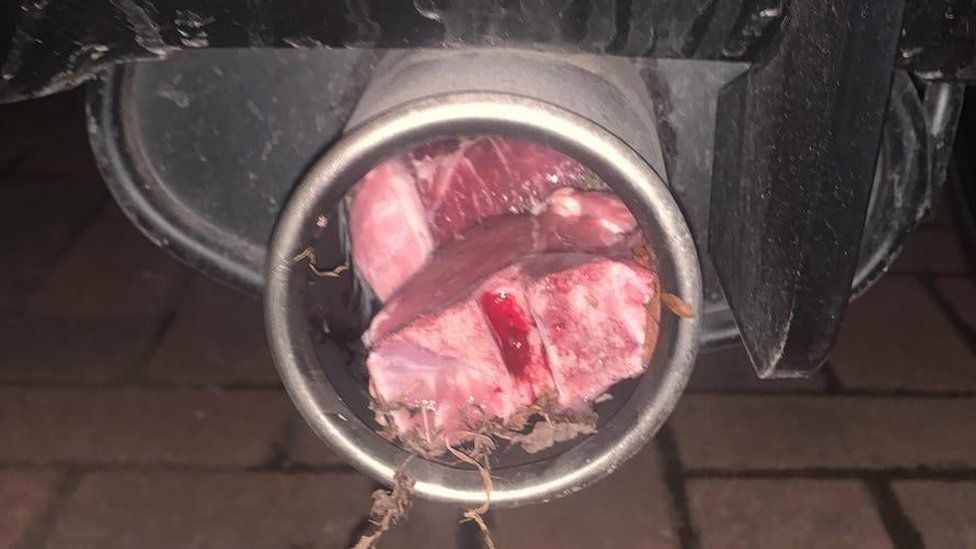 Lamb chops stuffed into exhaust pipe