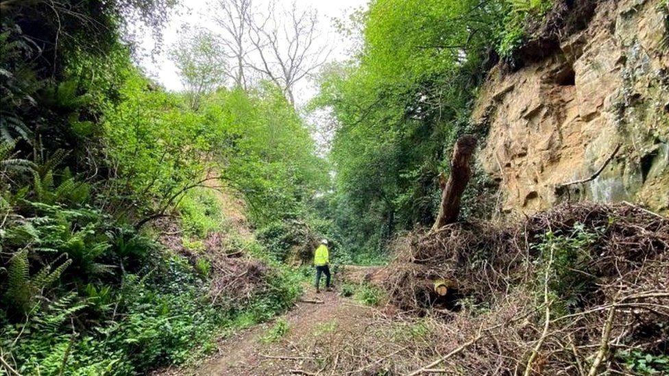 Chinnock Hollow following the landslide in 2021