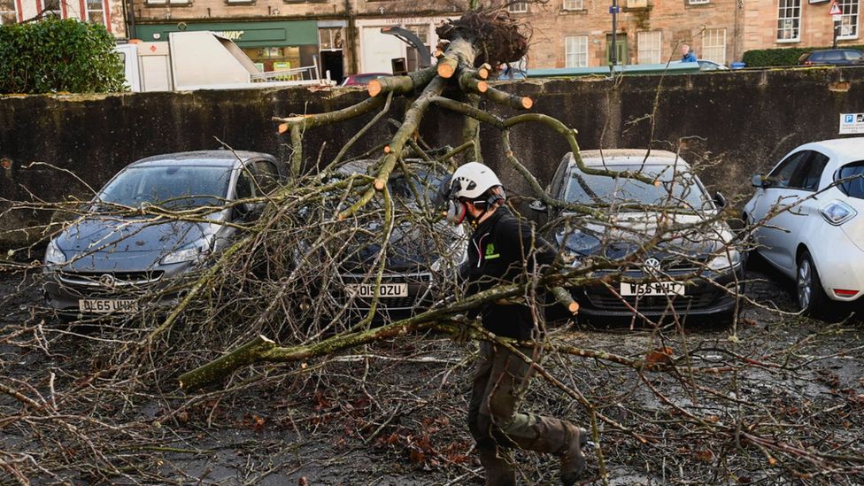 A tree surgeon removes a fallen tree from cars during Storm Isha in Linlithgow, West Lothian, on Monday
