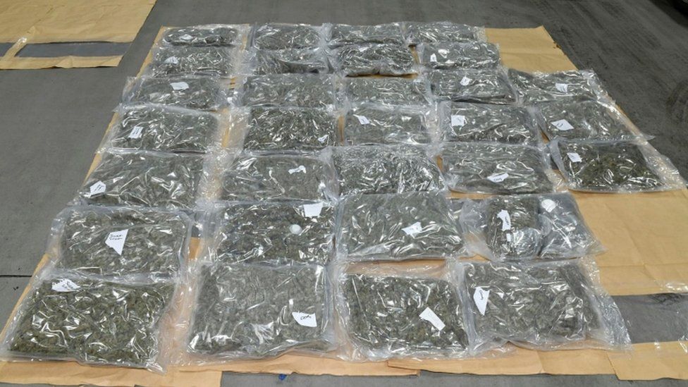 Thirty-one vacuum packs of cannabis that had been hidden inside divan beds
