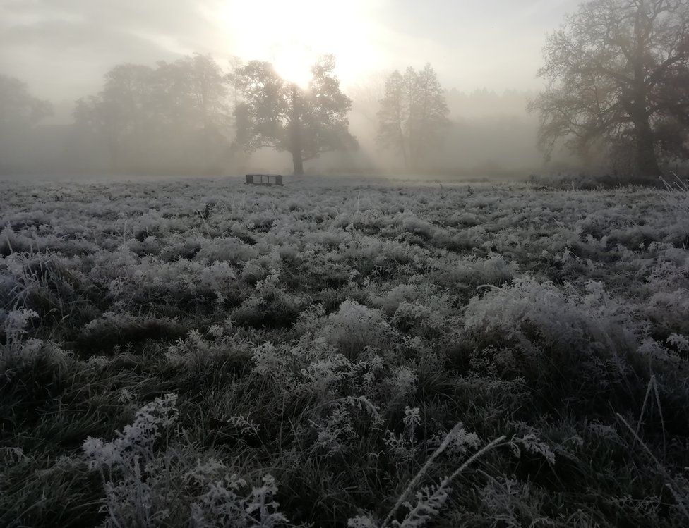 A frosty field