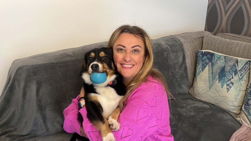 Pet theft: Six percent of animals reported stolen recovered - BBC News